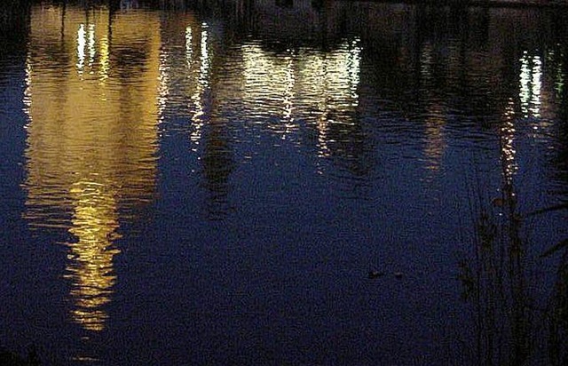 [reflejos[4].jpg]
