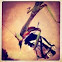 Praying mantis