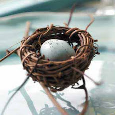 Truffle Eggs Recipe