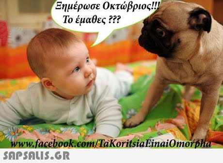 Ξημέρωσε Οκτώβριος!! Το έμαθες ??? facebook.com TaKoritsiaEinaiOmorp 