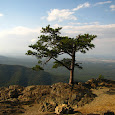 Blue Ridge Mountain Trails VA