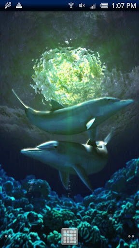 Dolphin RYUKYU Techno Free