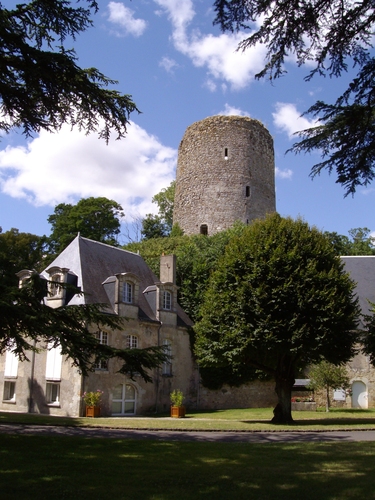 Donjon Du Château Xème Siècle 