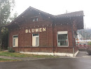 Historic Train Station Goldau