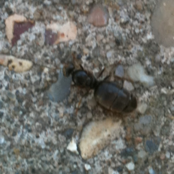 Spotting Image 1
