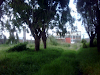 Nave Industrial Con Terrenisimo Zona Industrial C