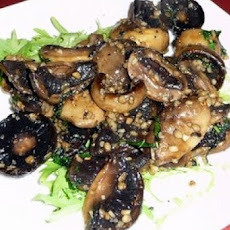 Mushroom Appetizer