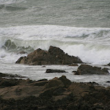 Guernsey, Easter... (6)