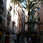 SNV13446.JPG