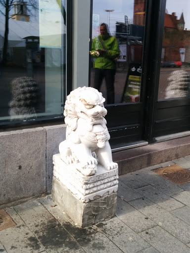 Odense White Lion