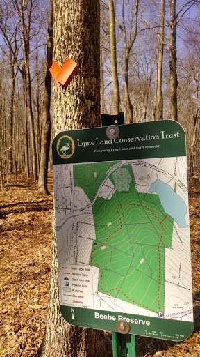 Lyme Land Conservation Trust 