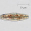 Diatom