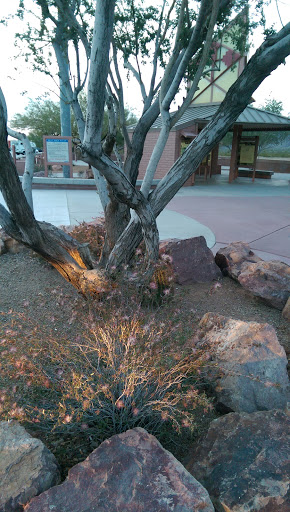 Burnt Well Rest Area Westbound