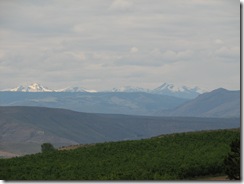 IMG_4373