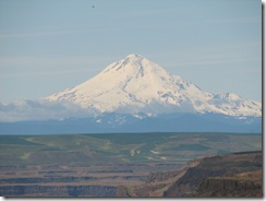 IMG_4401