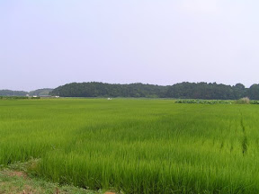 迷子