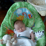 3-6 weeks old