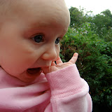 17-19 weeks old &ndash; 