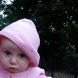 17-19 weeks old &ndash; 