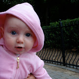 17-19 weeks old &ndash; 