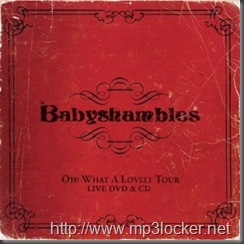 Babyshambles-Ohwhatalovelytour