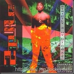 Strictly_4_My_N.I.G.G.A.Z