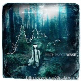 [51uKorYBDXL._SL500_AA280_[2].jpg]