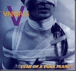 Fear_of_a_Punk_Planet_cover