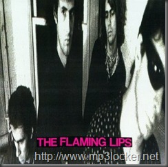 Flaming Lips - In A Priest Driven Ambulance