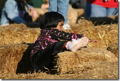 IMG_2047_Small