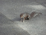 P1000039.JPG