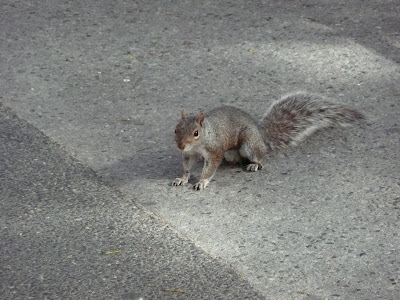 P1000039.JPG