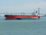 P1000177.JPG