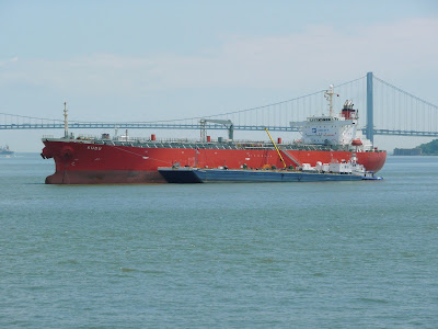 P1000177.JPG