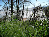 P1010372.JPG