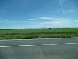 P1010429.JPG