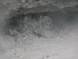 P1000765.JPG