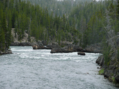 P1000792.JPG