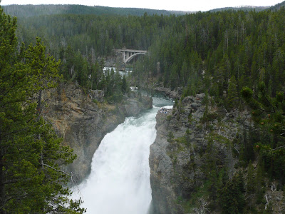 P1000810.JPG