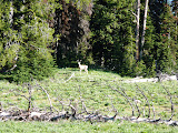 P1000905.JPG