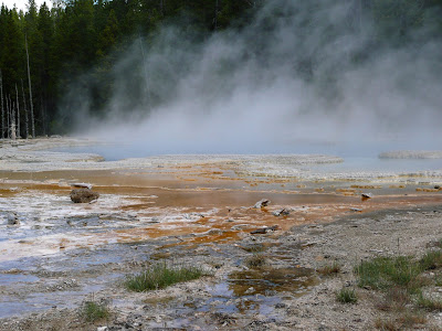 P1000977.JPG