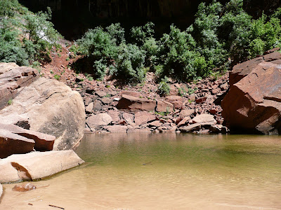 P1010671.JPG