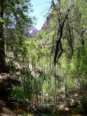 P1010685.JPG