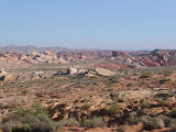 P1020556.JPG