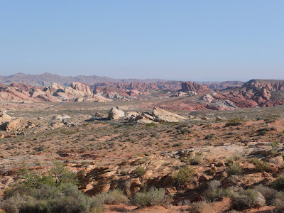 P1020556.JPG