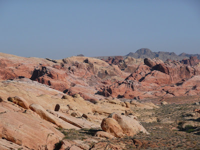 P1020557.JPG