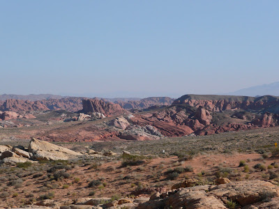 P1020559.JPG
