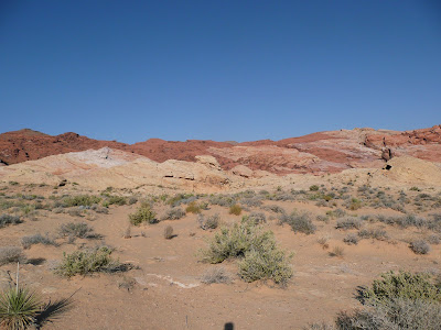P1020575.JPG