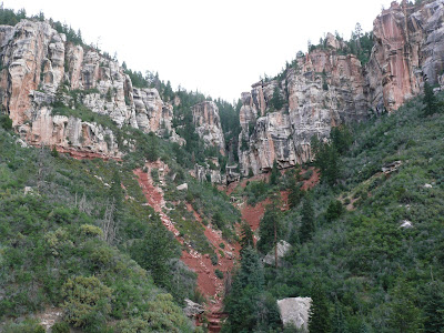 P1020424.JPG