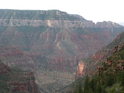 P1020417.JPG
